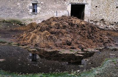 8 Nivôse.