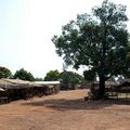 Le village de Sabadou Baranama