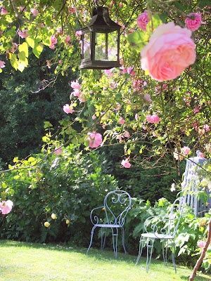 Roses