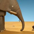 Les défenses de l'éléphant