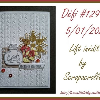 Défi #129 du 05 janvier 2026 - Un lift inédit