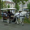 Promenade dans la Roche-sur-yon 