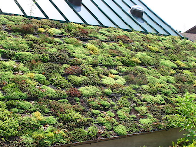 Le Sénat s’oppose aux toitures végétales