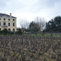 [Beaujolais] dans les vignes de Fleurie