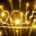Bonne année 2015 ! 
