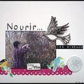 Nourrir les oiseaux