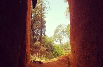 Vacances entre Luberon et Alpilles