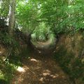 L'humeur de Barreau: la préservation des chemins ruraux de notre bocage normand est l'affaire de tous!