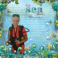 Red Sea diver