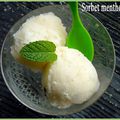 Sorbet Menthe