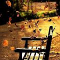 Partager avec vous un texte que j'ai écrit à une Amie : l'automne