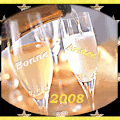 Bonne année 2008 !