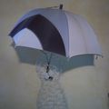 A311 : Parapluie