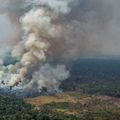 Incendies en Amazonie
