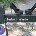 herbe blafarde