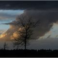 Ô rage ! Ciel d'orage !