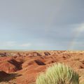 Road trip USA # 5 - En route vers Petrified Forest et Painted Desert, Arizona