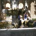 Les plantes de la St Jean, visite au jardin. de l'abbaye de Valmagne