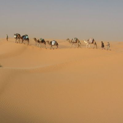 randomadairedouz.org.............Avec nous