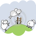 Les moutons insomniaques