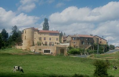 LES CHATEAUX AUTOUR DE LYON 2