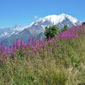 A Megève chez "La Tante" 