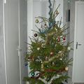 notre sapin de noël (décembre 2008)