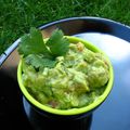 Guacamole 