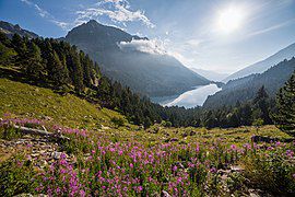 Lac de Saint Maurice