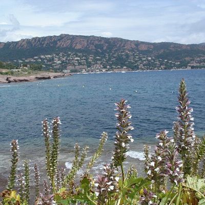 Mes premières vacances