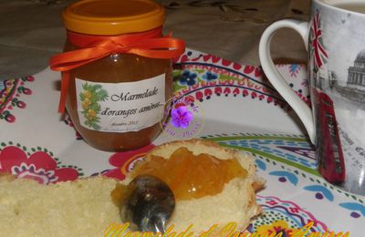 Marmelade d'Oranges Amères.