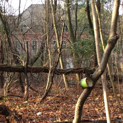 Beelitz Kankenhaus (1)