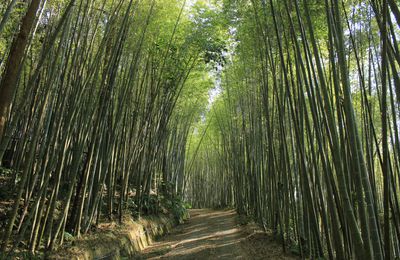 À l'aventure dans les montagnes à Fenqihu, Riufeng et Riuli