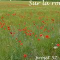 Projet 52 - Semaine 19 - Sur la route