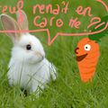 TITEUF EN CAROTTE DECOUVERT PAR UN LAPIN