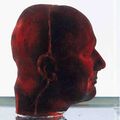 The National Portrait Gallery hopes to acquire for the nation Marc Quinn's 'Blood Head' 