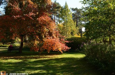 Festival des couleurs d’automne aux Grandes Bruyères