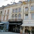 Casa Miron Vlasto (Part 2/2) - A Short Visit by Silvia Colfescu