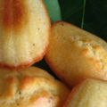 Des madeleines pour un forum