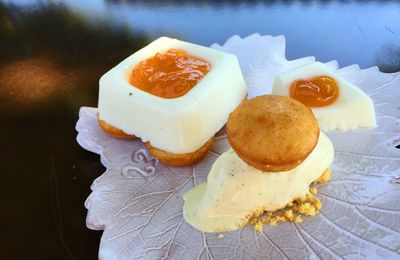 Petit fromager au citron, confiture d'abricot, bouchées aux agrumes et glace vanille