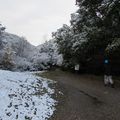 Autour de Digne les Bains, 28 octobre au 2 novembre 2018, jour 2