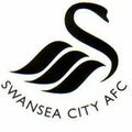 Ces équipes qui créent la surprise (4/5) : Swansea, Premier League