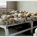 Le Génocide Rwandais, Malheur africain! 