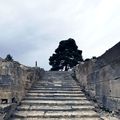 Phaistos (Φαιστός / Phaistós, ou encore Festos)