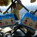 Namsan love lockdown!