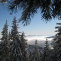 Neige fraîche - proche du Bonhomme - décembre 2008