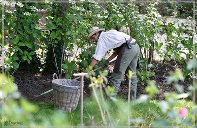 Dans les jardins du Puy du Fou.