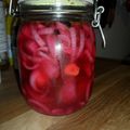 Pickles oignons rouges, carotte et chou-fleur