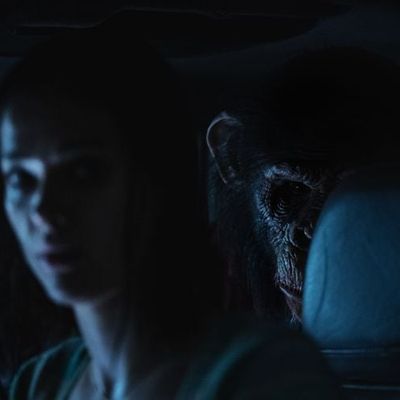Critique ciné: "Primate"