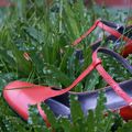 Gardening shoes